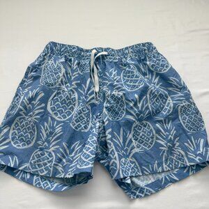 Chubbies Pineapple Print Swim Shorts Blue White Elastic Waist Drawstring